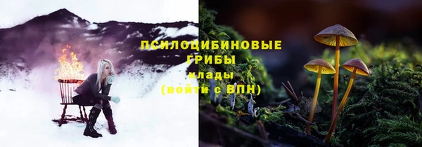 mix Армянск