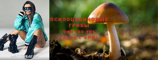 МДПВ Арсеньев