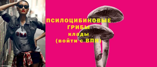 МДПВ Арсеньев