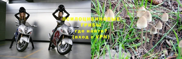 apvp Аркадак