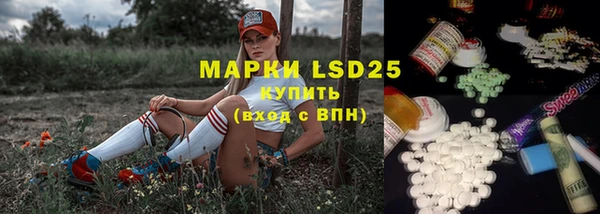apvp Аркадак