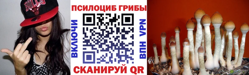 Псилоцибиновые грибы MAGIC MUSHROOMS  Купить где  Дмитров 